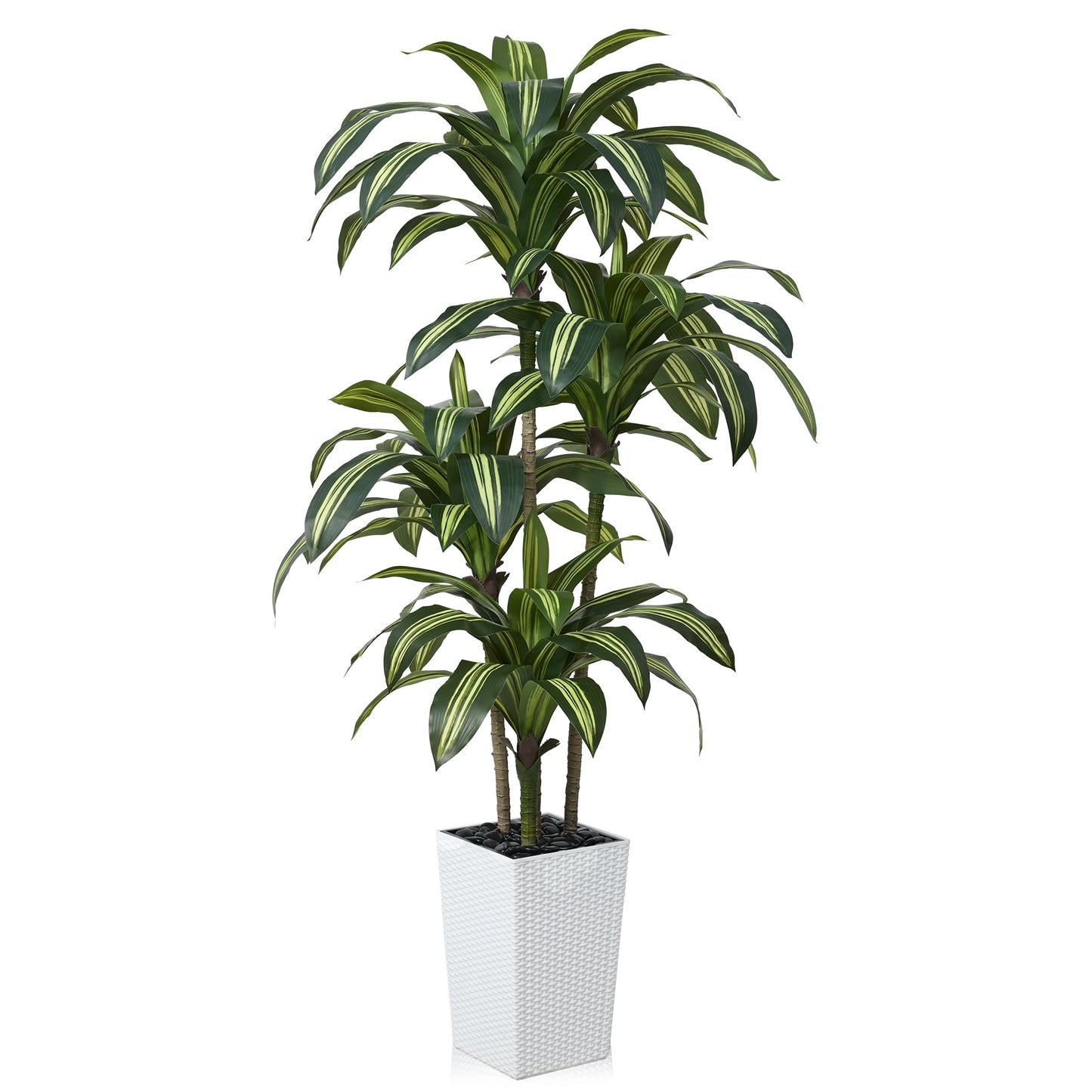 DR.Planzen 6FT Artificial Dracaena Tree with UV-Resistant Silk Leaves in White Tall Planter - Indoor/Outdoor Faux Plant for Home Office House Decor, Tall Fake Tree for Living Room Lobby & Patio