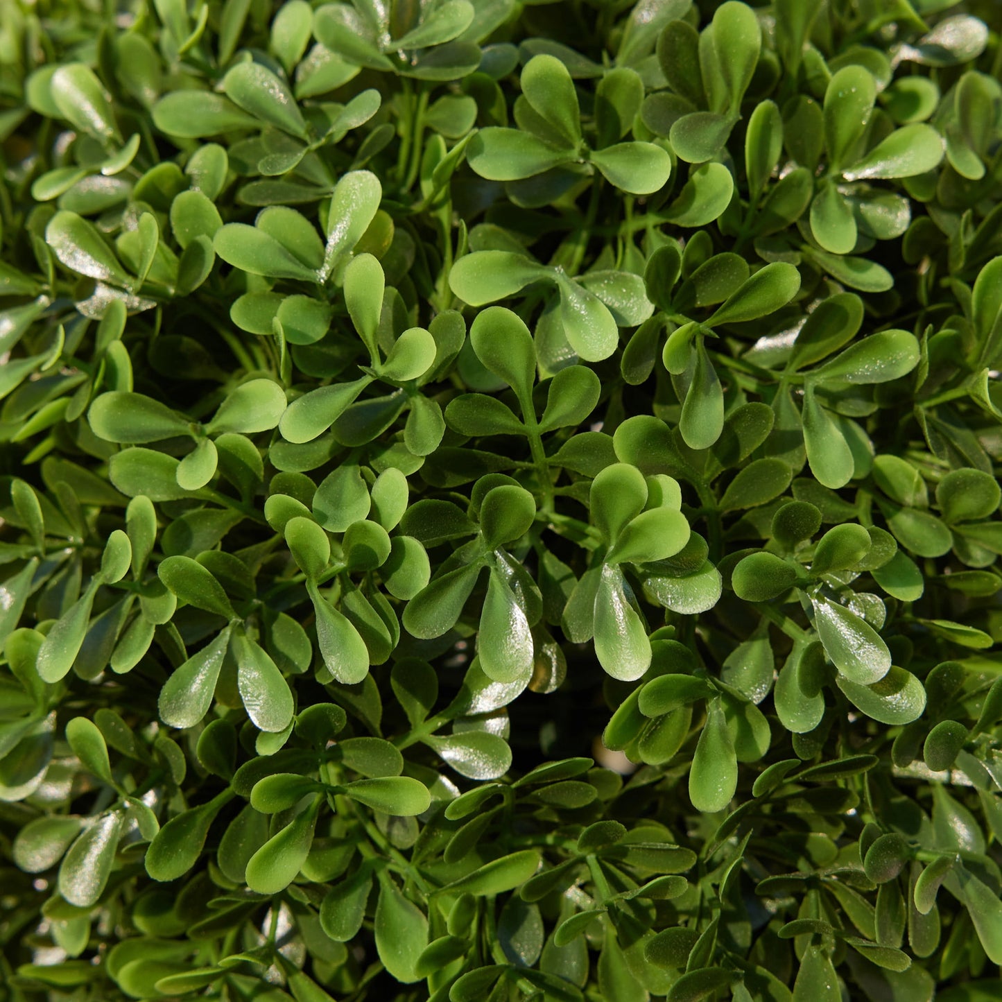 DR.Planzen 3ft Easter Rabbit Shaped Topiary Trees, High Artificial Boxwood with Swaying Ears & Brown Bow Tie, UV-Resistant for Indoor & Outdoor Decor, Set of 2