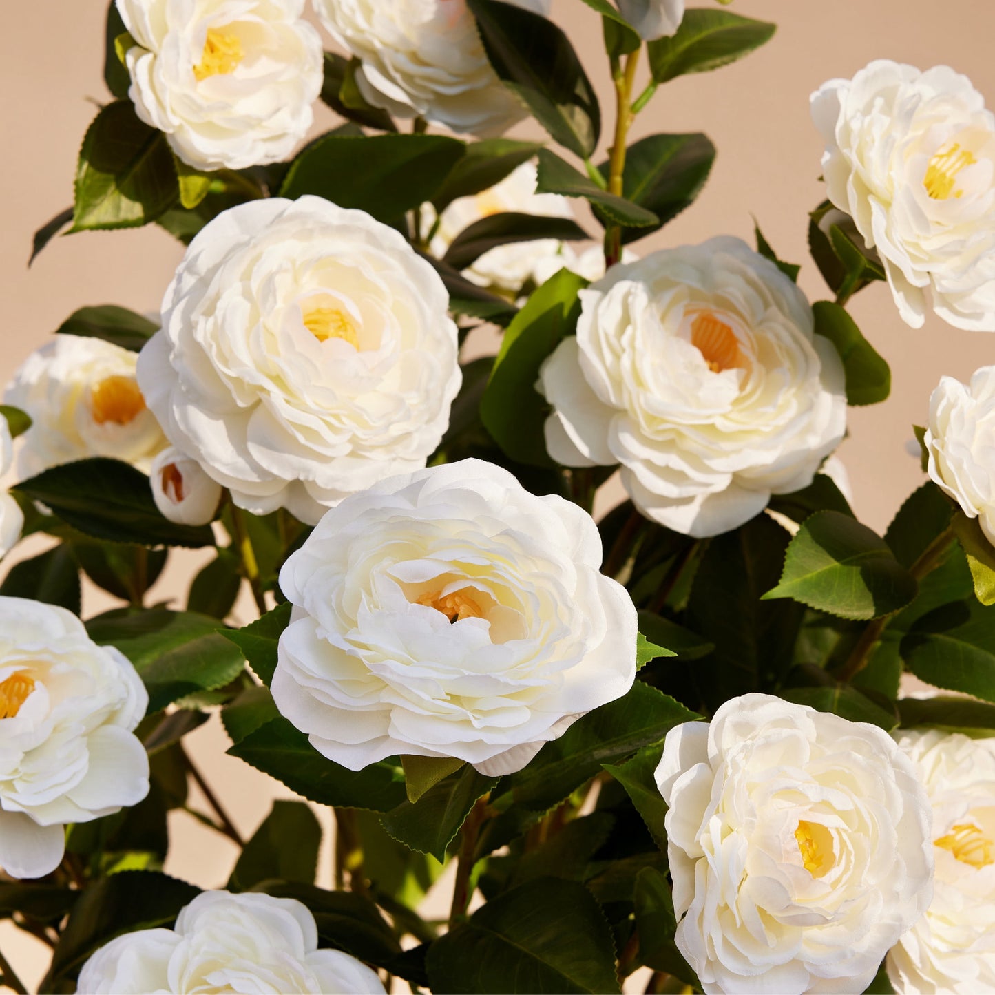 DR.Planzen 2 ft Artificial Camellia Tree, Faux Camellia Plant in Pot, 24in Full White Blooms, 28 flowers & 175 leaves - indoor/outdoor decor for Entryway Front Door Covered Porch Living Room Wedding