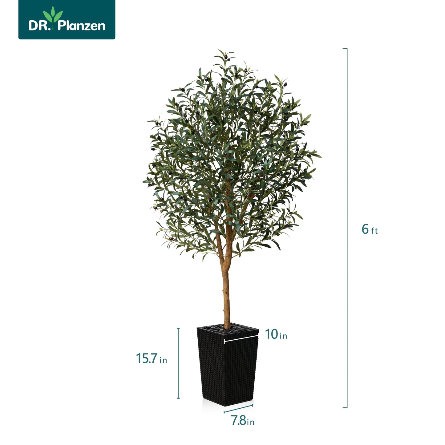 DR.Planzen UV Resistant 6ft Artificial Olive Tree with Natural Wood Branches and Realistic Silk Leaves,Faux Olive Tree for Indoor and Outdoor Decor - Black Large Planter with Pebbles