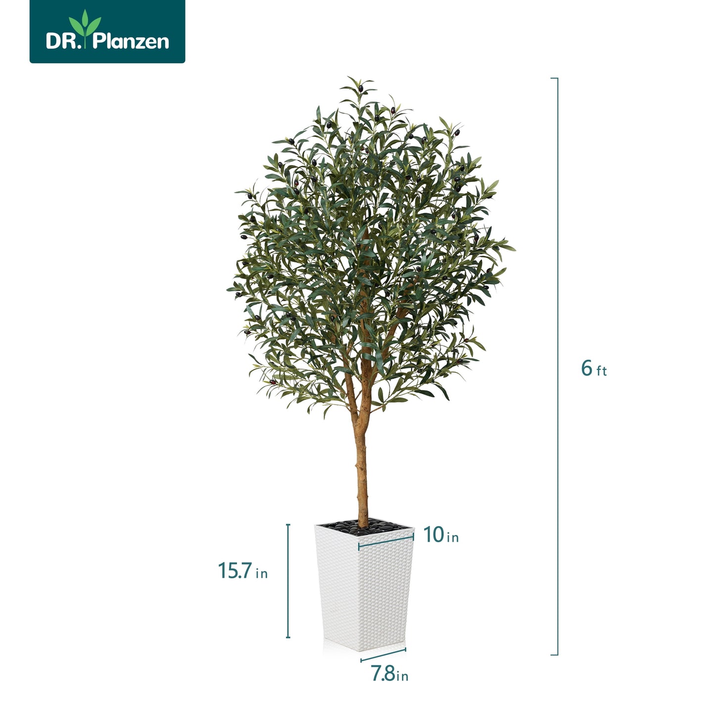 DR.Planzen UV Resistant 6ft Artificial Olive Tree with Natural Wood Branches and Realistic Silk Leaves,Faux Olive Tree for Indoor and Outdoor Decor - White Large Planter with Pebbles