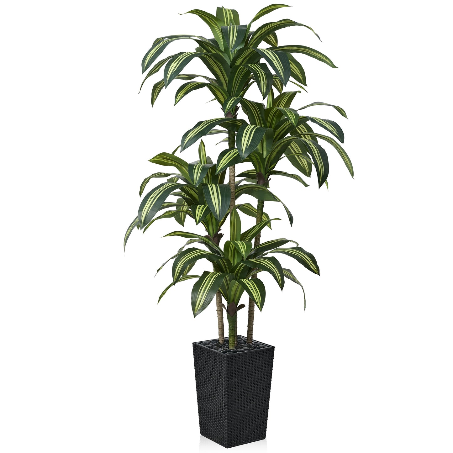 DR.Planzen 6FT Artificial Dracaena Tree with UV-Resistant Silk Leaves in Black Tall Planter - Indoor/Outdoor Faux Plant for Home Office House Decor, Tall Fake Tree for Living Room Lobby & Patio