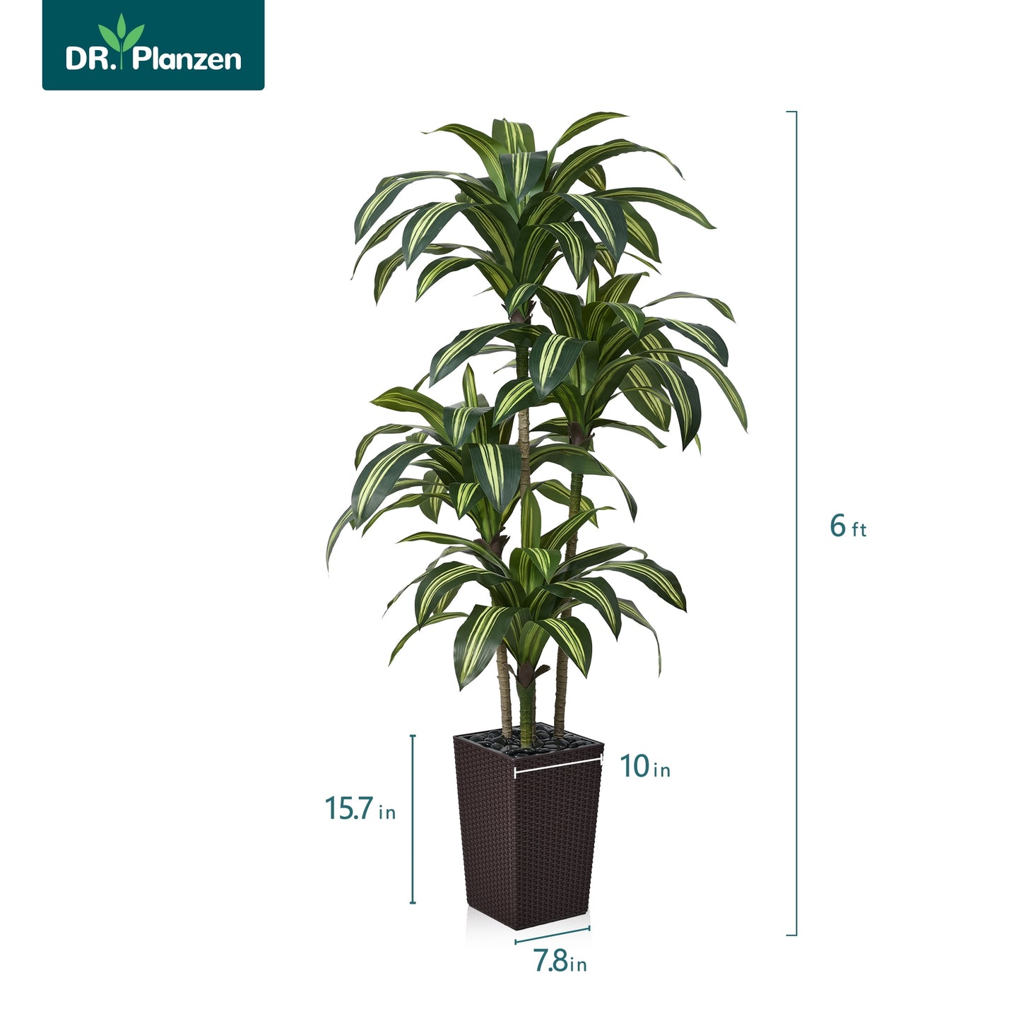 DR.Planzen 6FT Artificial Dracaena Tree with UV-Resistant Silk Leaves in Coffee Tall Planter - Indoor/Outdoor Faux Plant for Home Office House Decor, Tall Fake Tree for Living Room Lobby & Patio