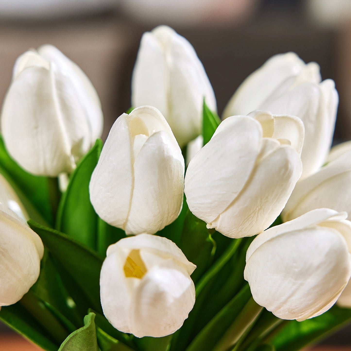 DR.Planzen Artificial White Tulip Arrangement in Glass Vase, 8 Bloom Fake Flowers with Faux Water, 10.2in Tall Home Decor Centerpiece