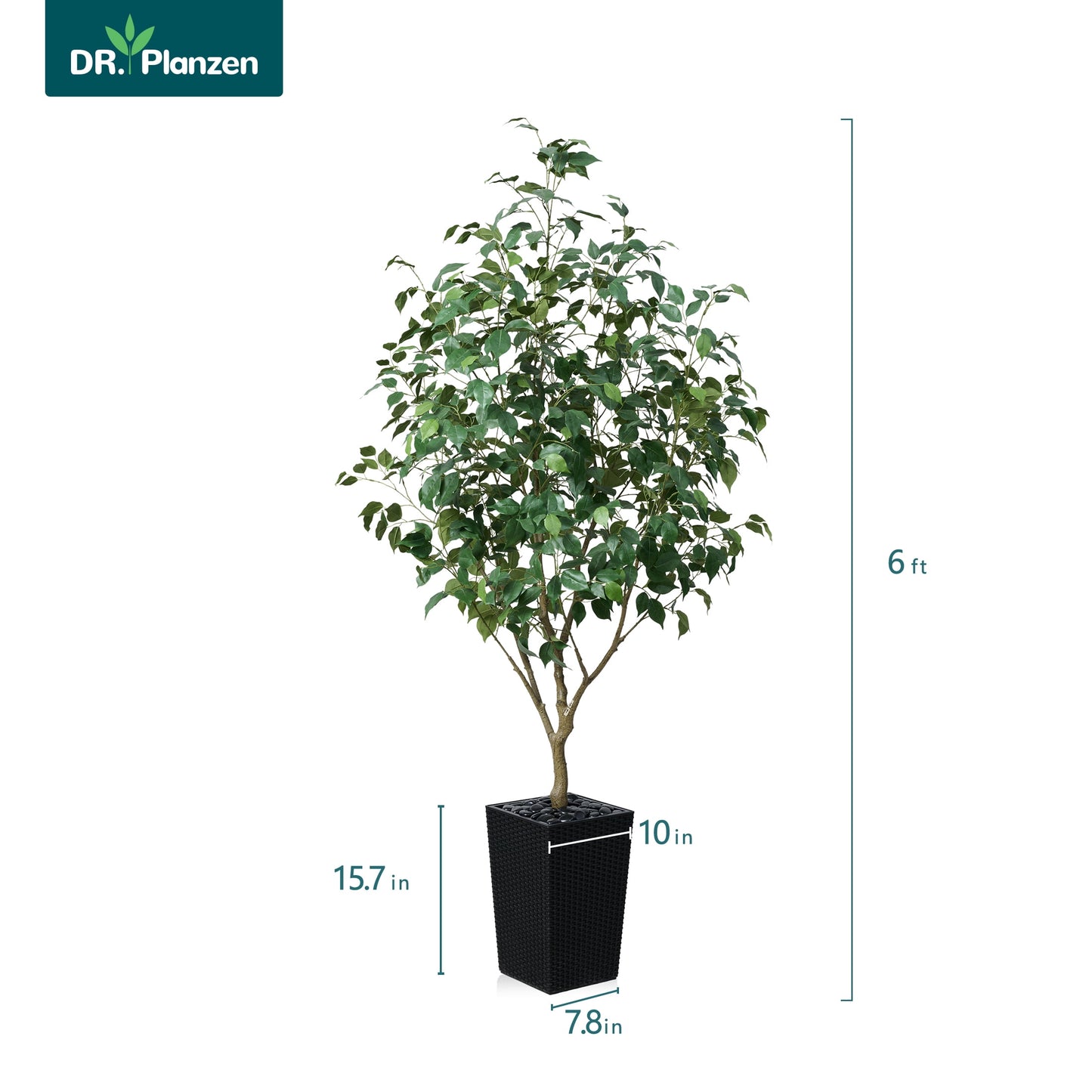 DR.Planzen Artificial Ficus Tree 6ft - UV Protected Faux Ficus Plant with Adjustable Branches and Realistic Green Leaves for Indoor & Outdoor Decor, Black Large Planter with River Rocks