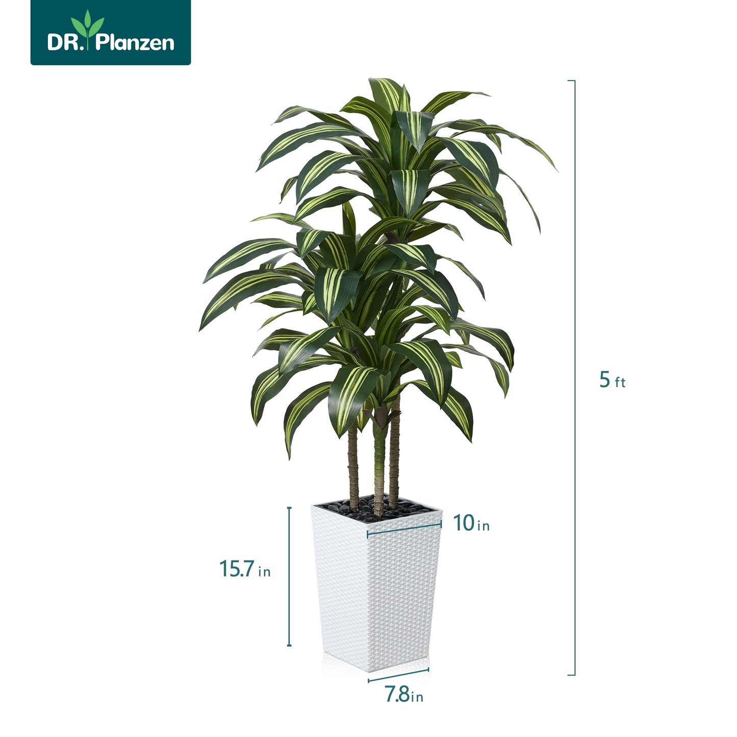 DR.Planzen 5FT Artificial Dracaena Tree with UV-Resistant Silk Leaves in White Tall Planter - Indoor/Outdoor Faux Plant for Home Office House Decor, Tall Fake Tree for Living Room Lobby & Patio