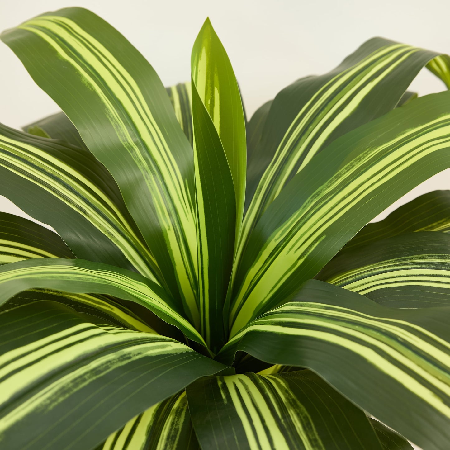 DR.Planzen 6FT Artificial Dracaena Tree with UV-Resistant Silk Leaves in White Tall Planter - Indoor/Outdoor Faux Plant for Home Office House Decor, Tall Fake Tree for Living Room Lobby & Patio