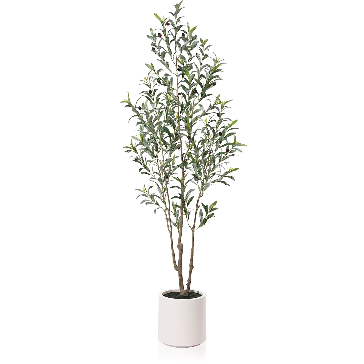 6 ft Tall Large Artificial Olive Tree with 10.6 inches White Planter ,Fake Olive Trees for Indoor Use,Faux Olive Silk Tree,Olive Plantsfor Home Decor and Housewarming Gift