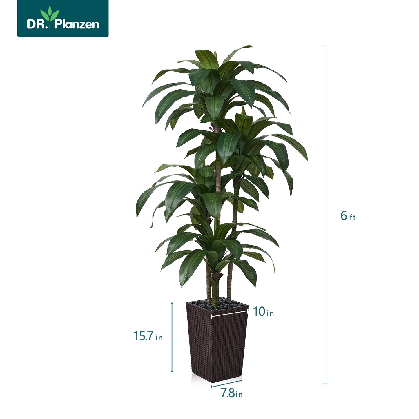 DR.Planzen Artificial Dracaena Tree 6ft - UV Protected Faux Dracaena Plant with 76 Green Leaves, Fake Tree for Indoor & Outdoor Use, Sturdy Tall Black Planter with River Stones