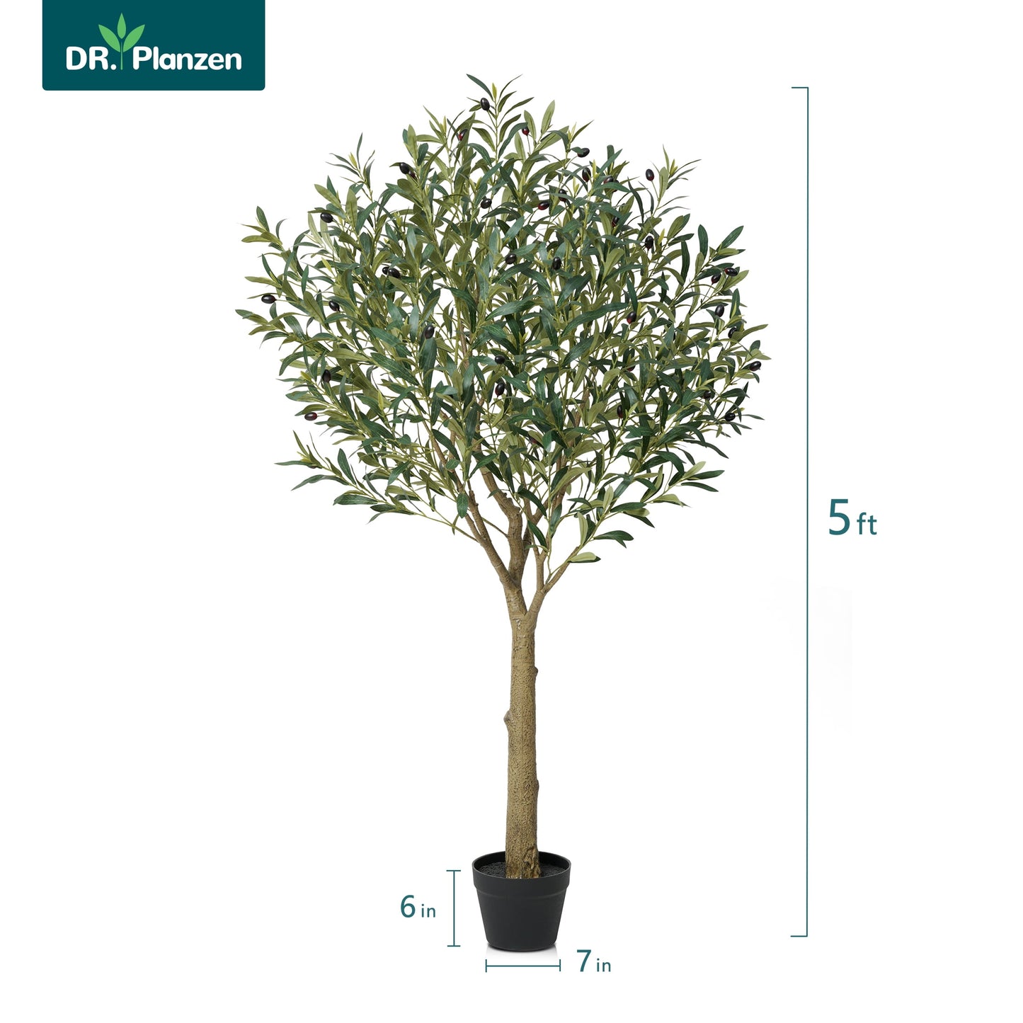 DR.Planzen 5ft Dense Artificial Olive Tree - Faux Olive Plant for Indoor & Outdoor Decor - Adjustable Branches - UV Resistant Realistic Olive Tree with Black Plastic Pot