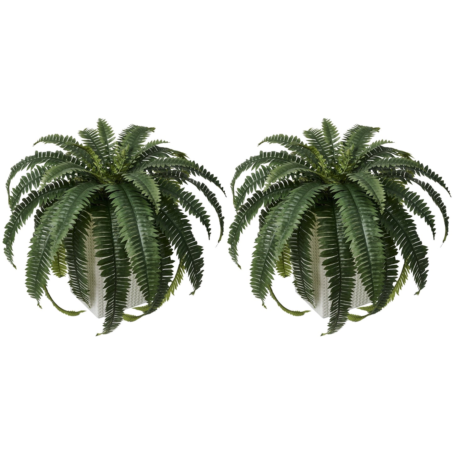 DR.Planzen 2 Pack Artificial Boston Fern Bush Plant with White Tapered Planter - UV Resistant Faux Ferns with 33 Leaves