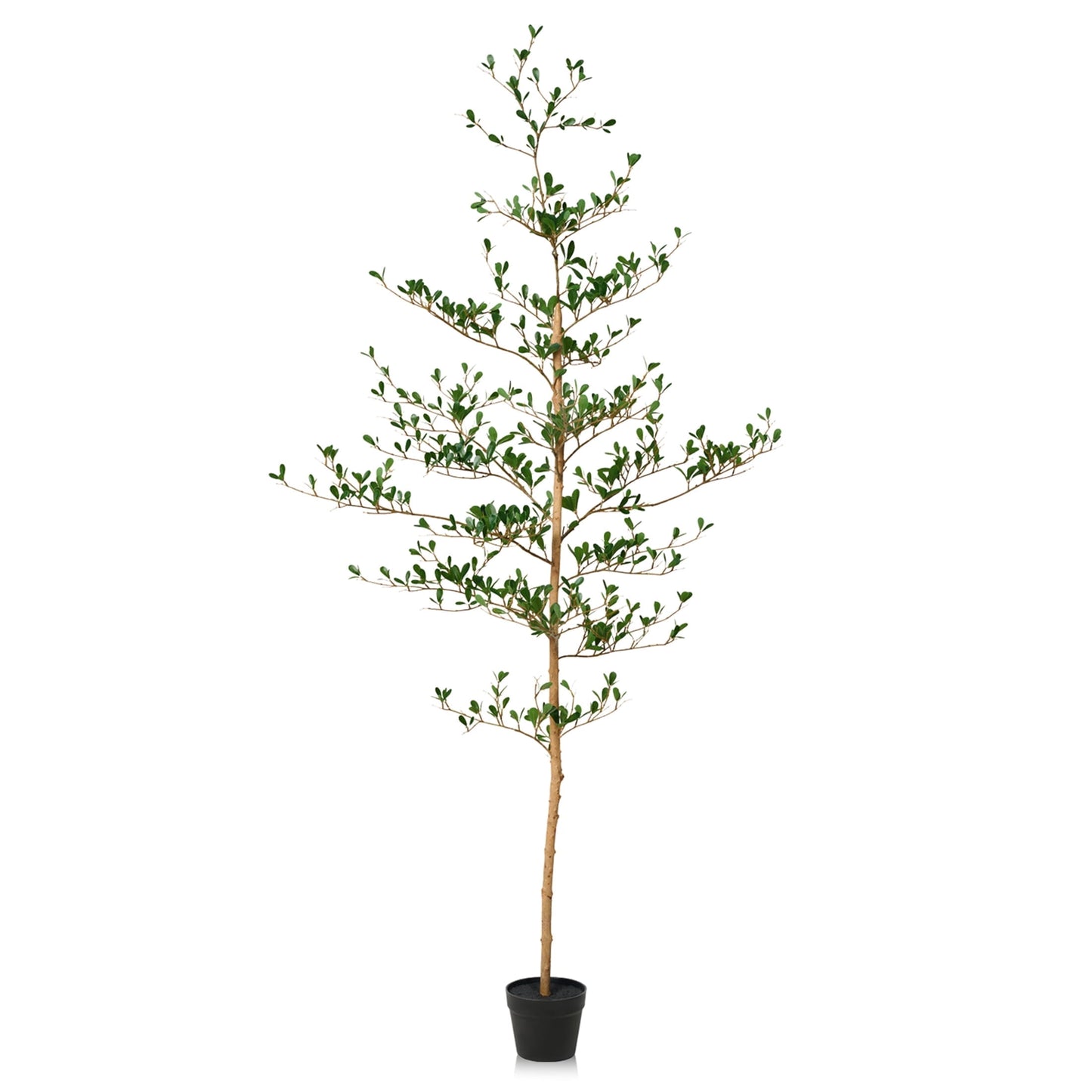 DR.Planzen 6ft Faux Black Olive Tree - Realistic Potted Artificial Tree with Natural Trunk & Silk Leaves - Tall Faux Plant for Home, Office, Indoor & Outdoor Decor - Low Maintenance & UV Resistant