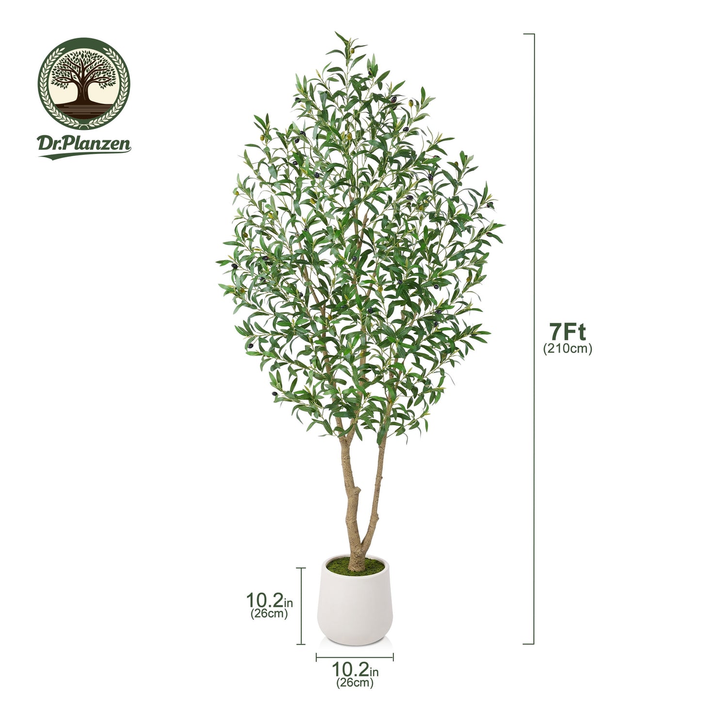 DR.Planzen 7ft Dense Artificial Olive Tree - Faux Olive Plant for Indoor & Outdoor Decor - Adjustable Branches - UV Resistant Realistic Olive Tree in White Planter
