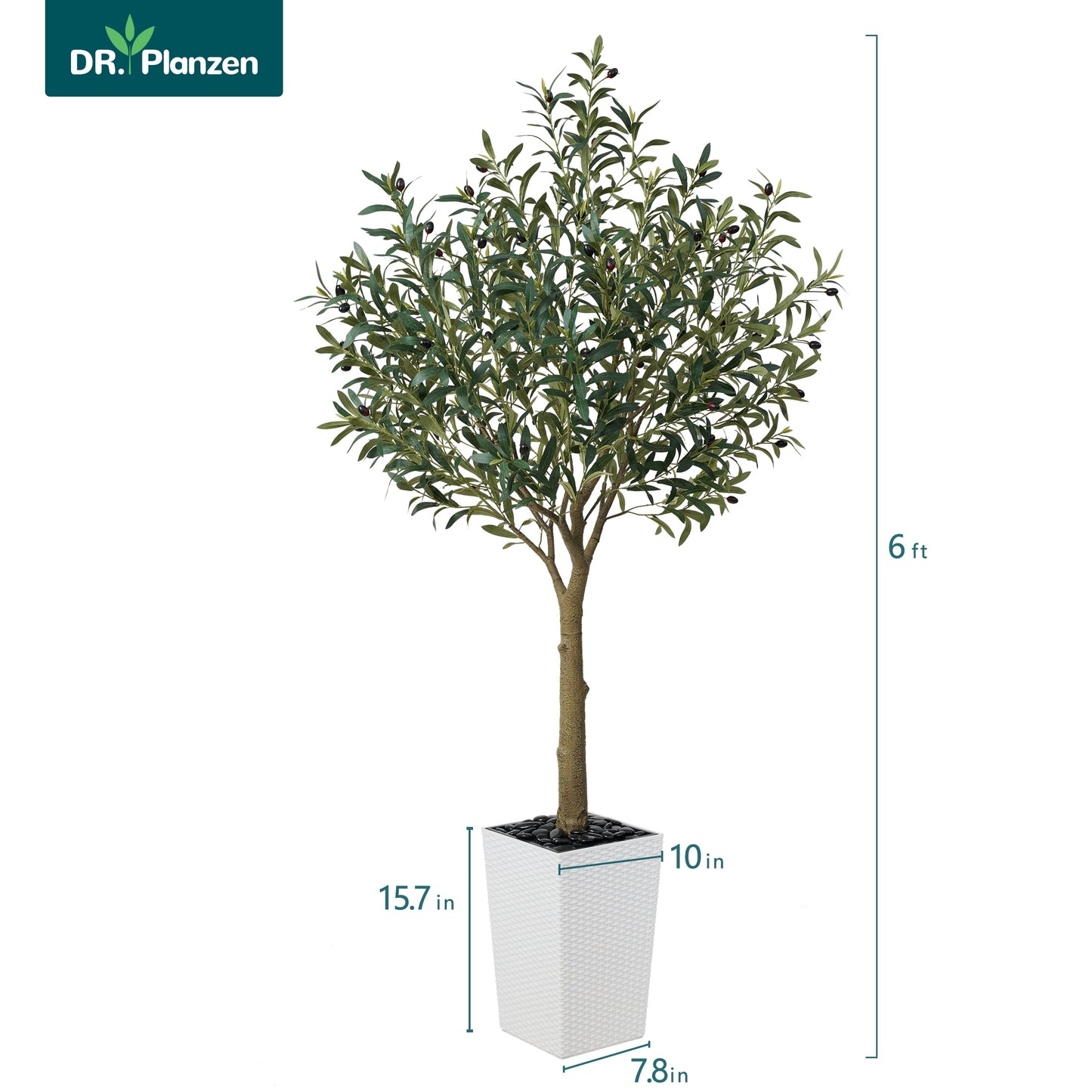 DR.Planzen UV Resistant 6ft Artificial Olive Tree in White Large Planter with Pebbles¨C Faux Olive Tree for Indoor and Outdoor Decor, Lifelike Greenery for Home & Garden Decor