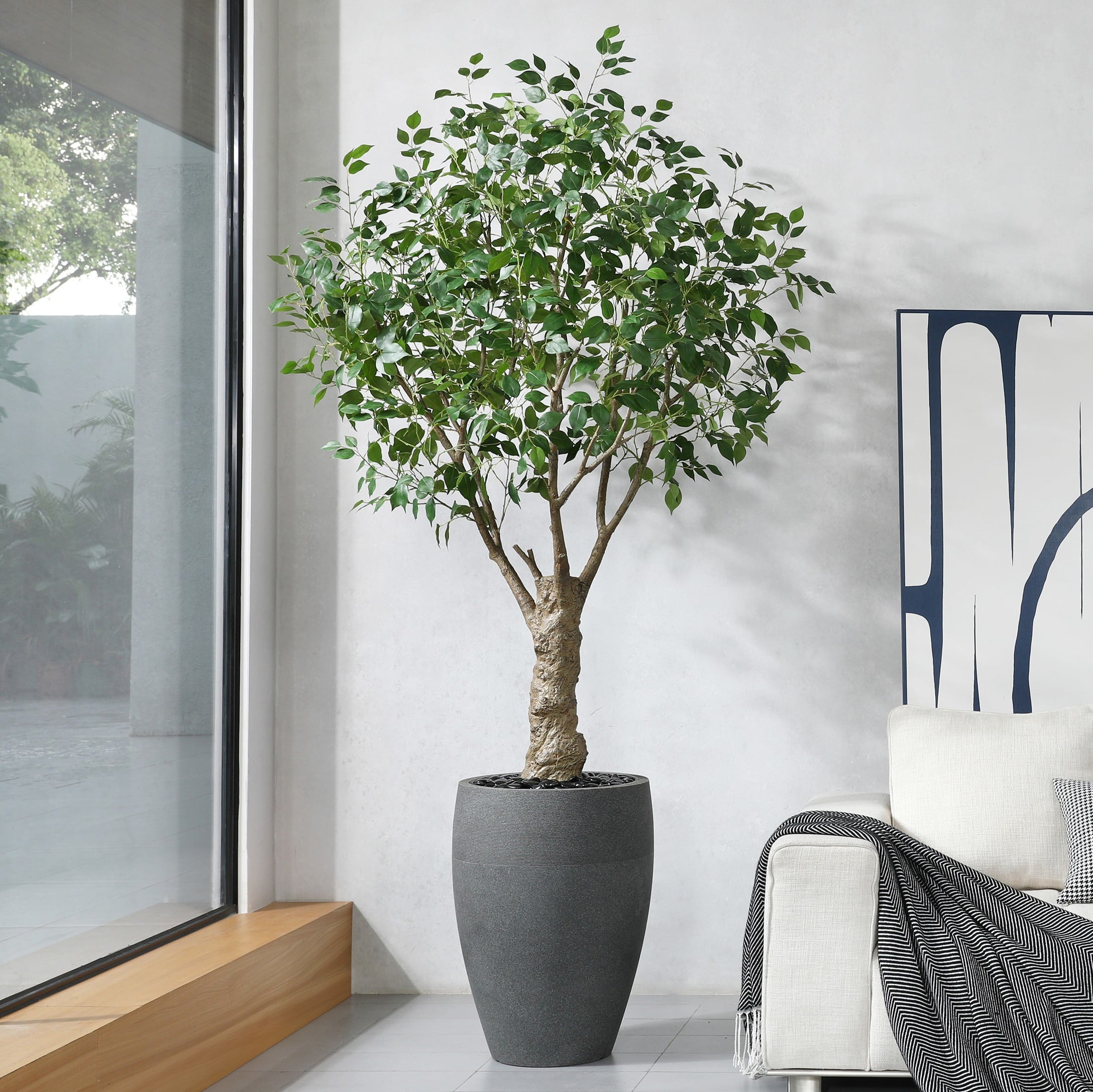 Gray Ficus Tree 8ft UV Resistant Artificial Ficus Tree with Grey Tall Planter, Pre Pot ...