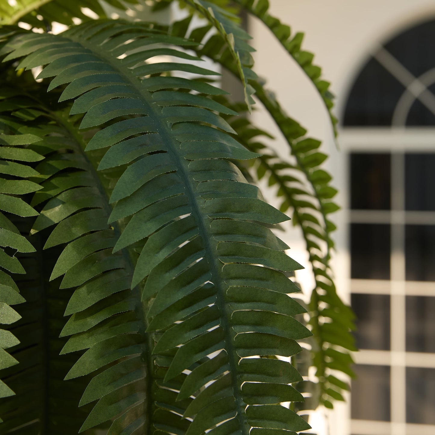 DR.Planzen 2 Pack Artificial Boston Fern Bush Plant with Black Tapered Planter - UV Resistant Faux Ferns with 33 Leaves