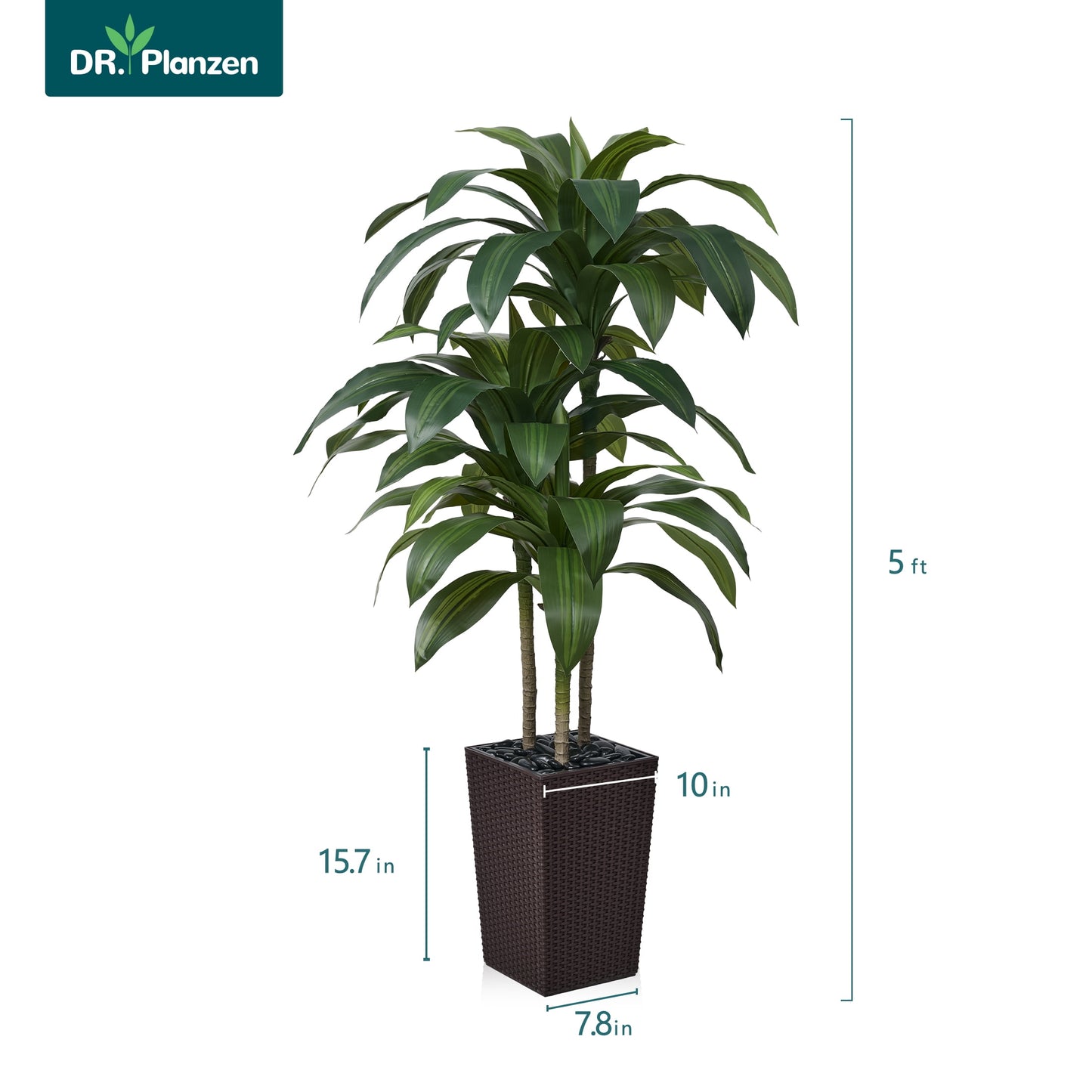 DR.Planzen Artificial Dracaena Tree 5ft - UV Protected Faux Dracaena Plant with 57 Green Leaves, Fake Tree for Indoor & Outdoor Use, Sturdy Tall Black Planter with River Stones