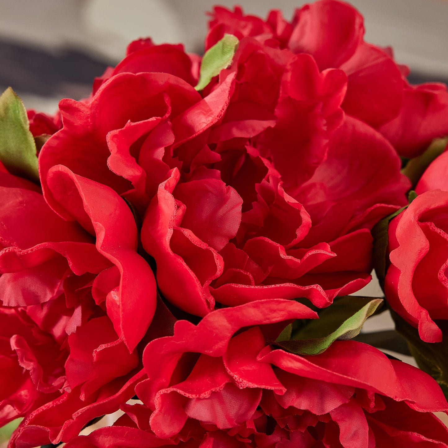 DR.Planzen Artificial Red Peony Bouquet in Cylinder Vase with Faux Water, 6 Stems with 6 Realistic White Peony Blooms, 10.6" Tall Ready-to-Use Home Office Centerpiece Decor