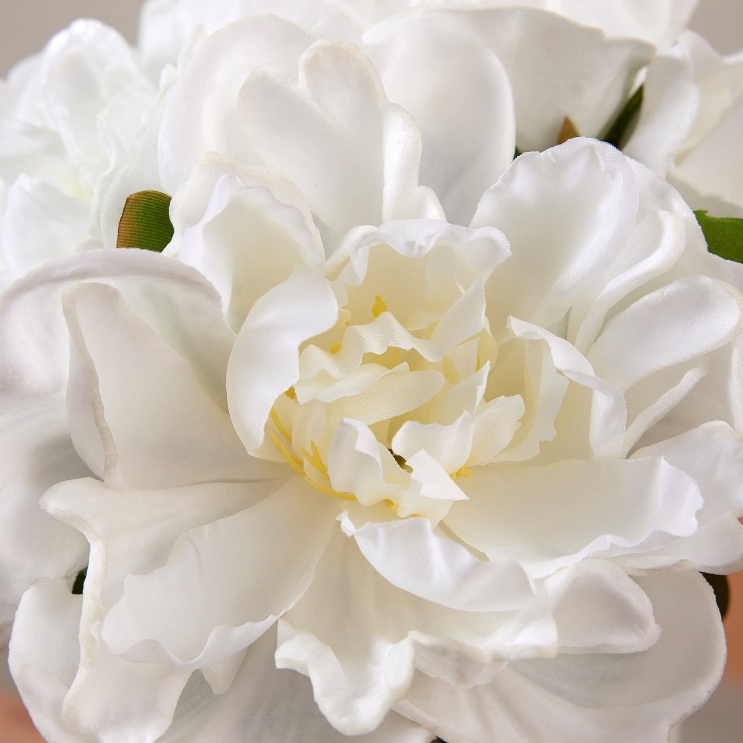 DR.Planzen Artificial White Peony Bouquet in Cylinder Vase with Faux Water, 6 Stems with 6 Realistic White Peony Blooms, 10.6" Tall Ready-to-Use Home Office Centerpiece Decor