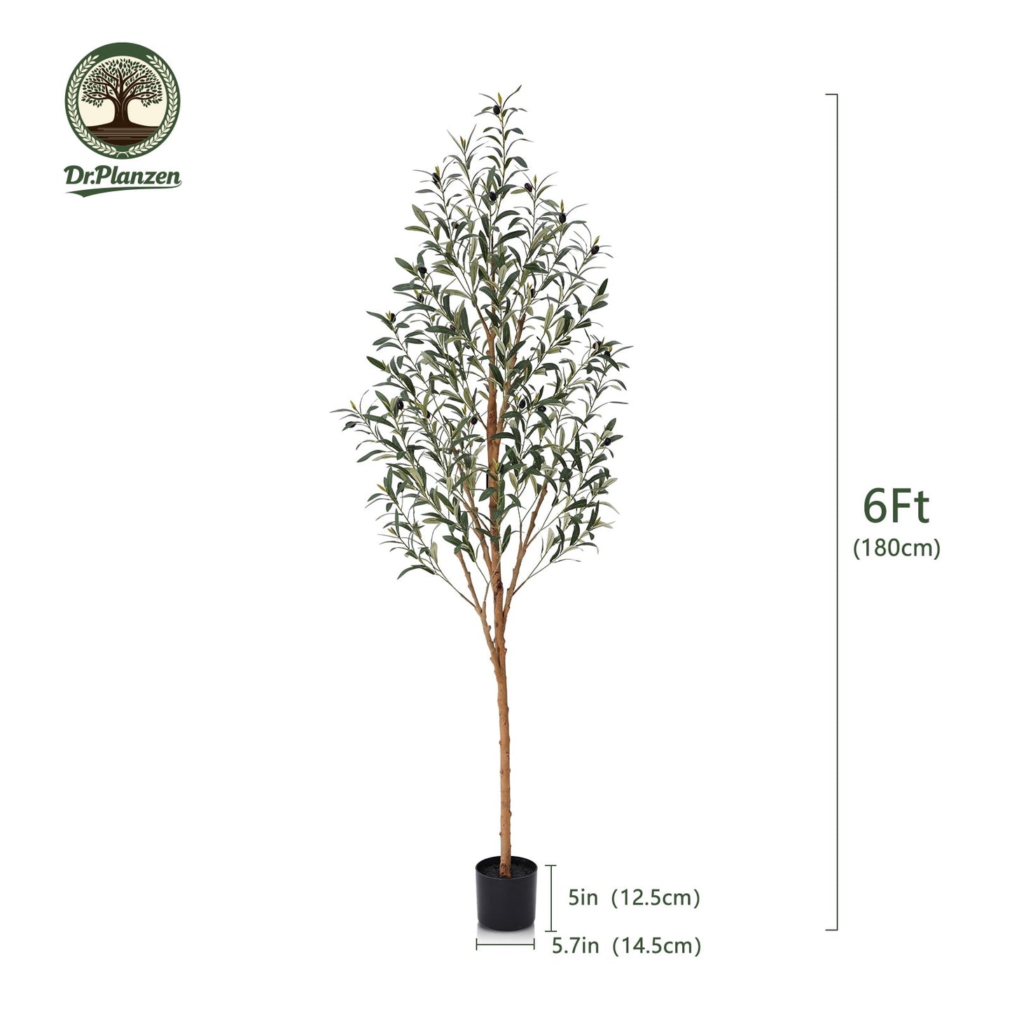 DR.Planzen Exquisite Olive Tree 6 ft Indoor Outdoor Artificial, Tall Faux Olive Tree in Black Plastic Pot, Artificial Plants with Natural Wood Trunk and Lifelike Fruits for Home Office Garden Decor