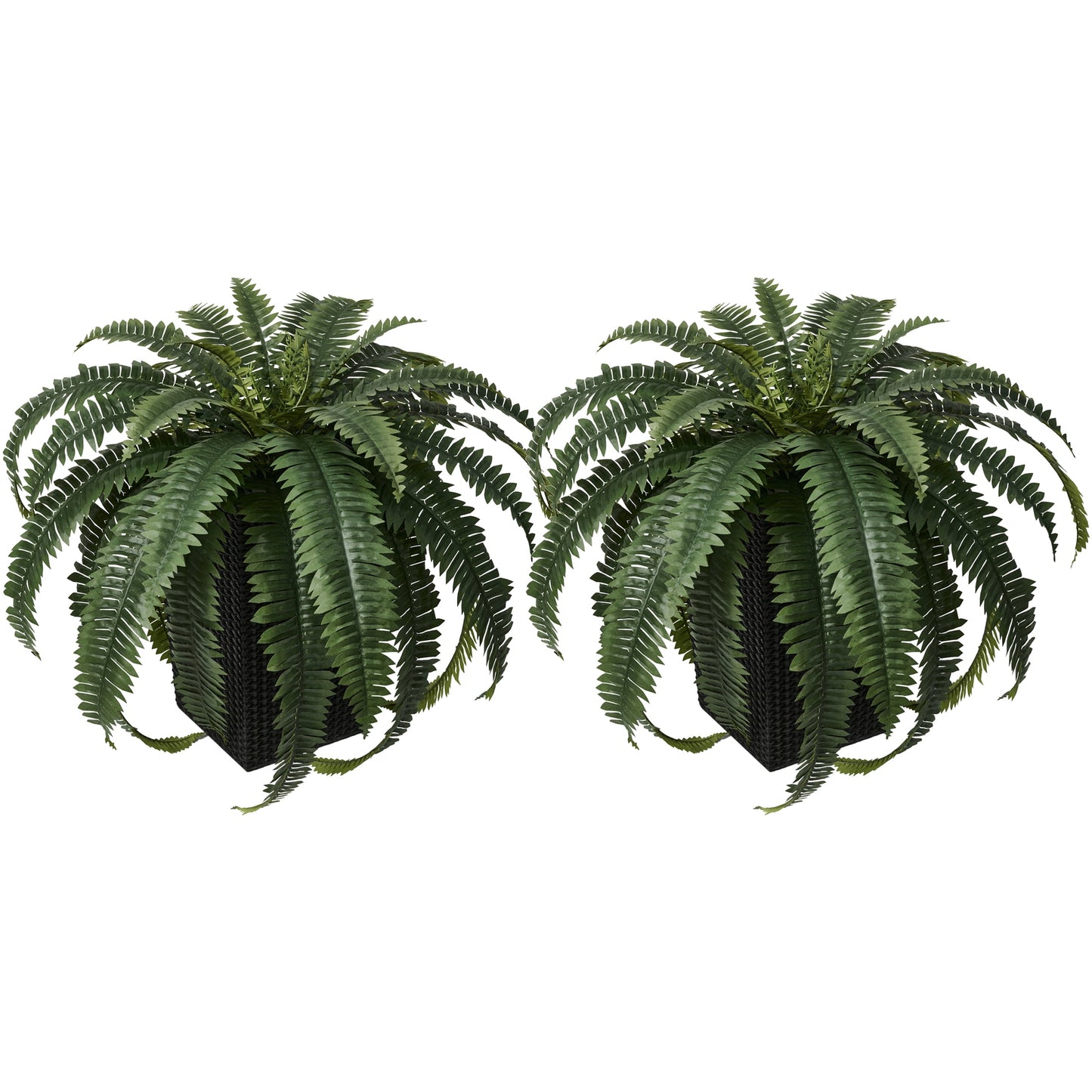 DR.Planzen 2 Pack Artificial Boston Fern Bush Plant with Black Tapered Planter - UV Resistant Faux Ferns with 33 Leaves