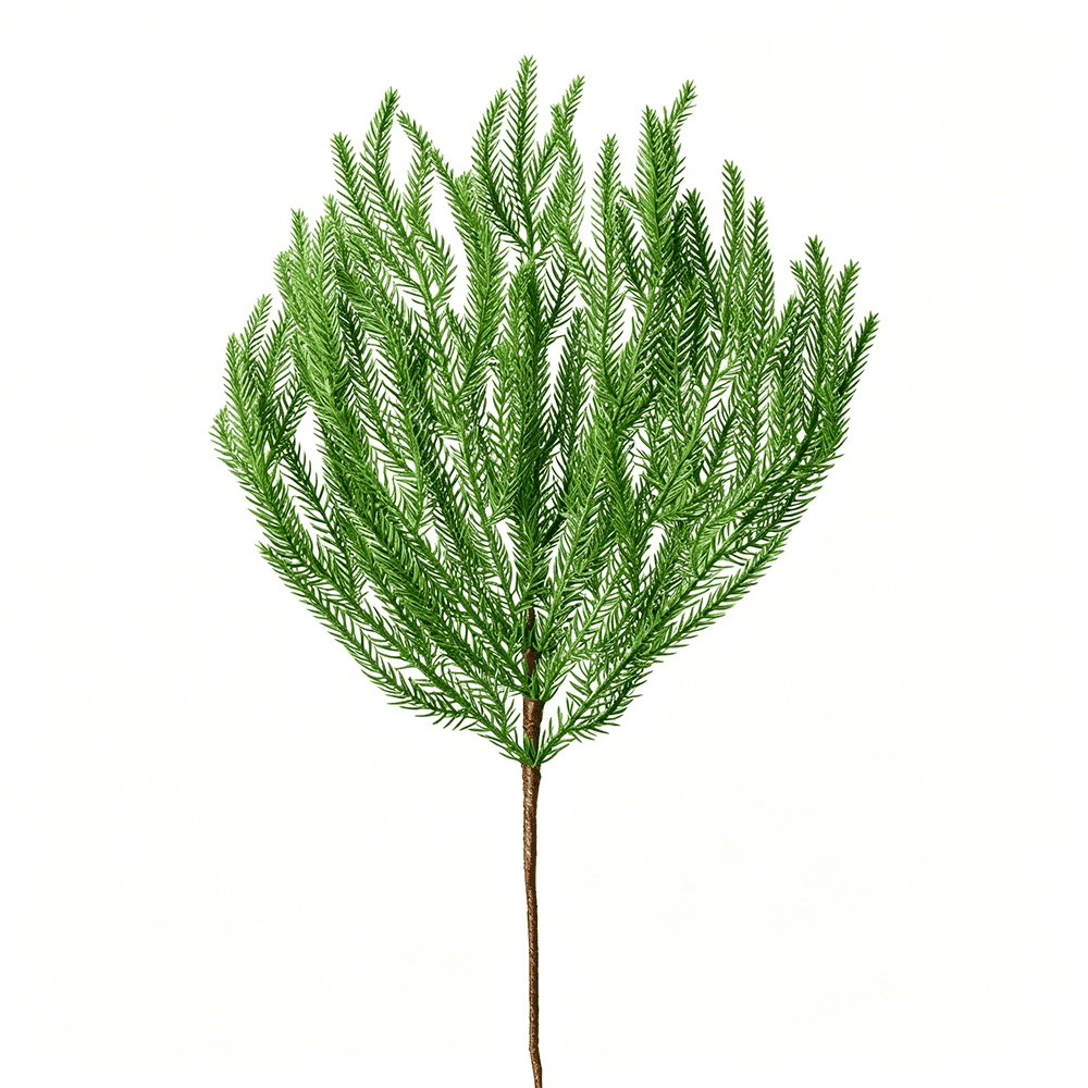 DR.Planzen 12 Pcs 18 inch Artificial Norfolk Pine Branches, Faux Norfolk Pine Stems, Christmas Greenery Stems - Realistic PE Needless - for Wreath Garland Vase Mantel Decor