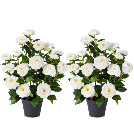 DR.Planzen 2 Pack 2 ft Artificial Camellia Tree, Faux Camellia Plant in Pot, 24in Full White Blooms, 28 flowers & 175 leaves - indoor decor for Entryway Front Door Covered Porch Living Room Wedding