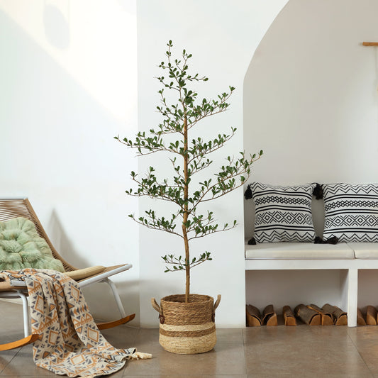 DR.Planzen 5ft Faux Black Olive Tree - Realistic Potted Artificial Tree with Natural Trunk & Silk Leaves - Tall Faux Plant for Home, Office, Indoor & Outdoor Decor - Low Maintenance & UV Resistant