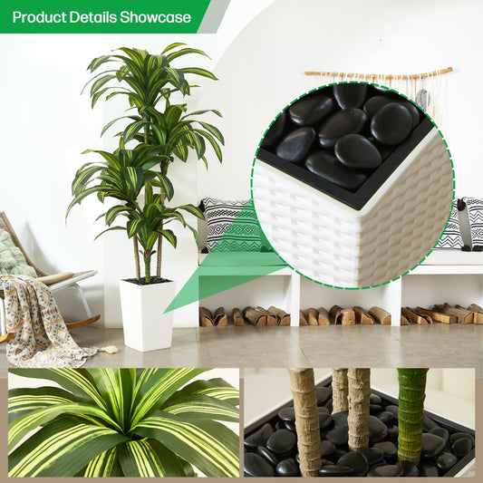 DR.Planzen 6FT Artificial Dracaena Tree with UV-Resistant Silk Leaves in White Tall Planter - Indoor/Outdoor Faux Plant for Home Office House Decor, Tall Fake Tree for Living Room Lobby & Patio