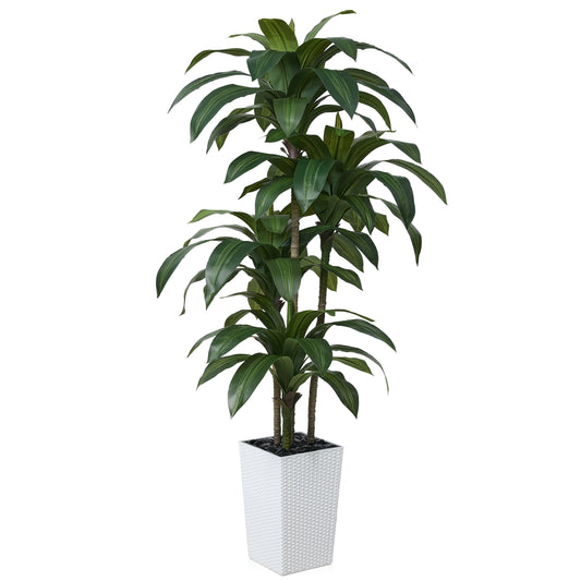 DR.Planzen Artificial Dracaena Tree 6ft - UV Protected Faux Dracaena Plant with 76 Green Leaves, Fake Tree for Indoor & Outdoor Use, Sturdy Tall Brown Planter with River Stones