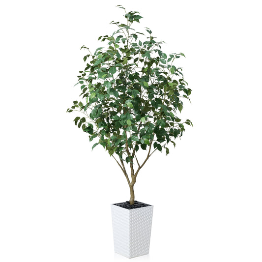 DR.Planzen Artificial Ficus Tree 6ft - UV Protected Faux Ficus Plant with Adjustable Branches and Realistic Green Leaves for Indoor & Outdoor Decor, White Large Planter with River Rocks