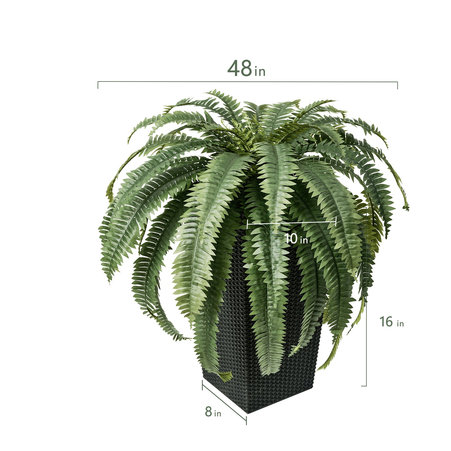 DR.Planzen Artificial Boston Fern Bush Plant with Black Tapered Planter - UV Resistant Faux Ferns with 39 Leaves