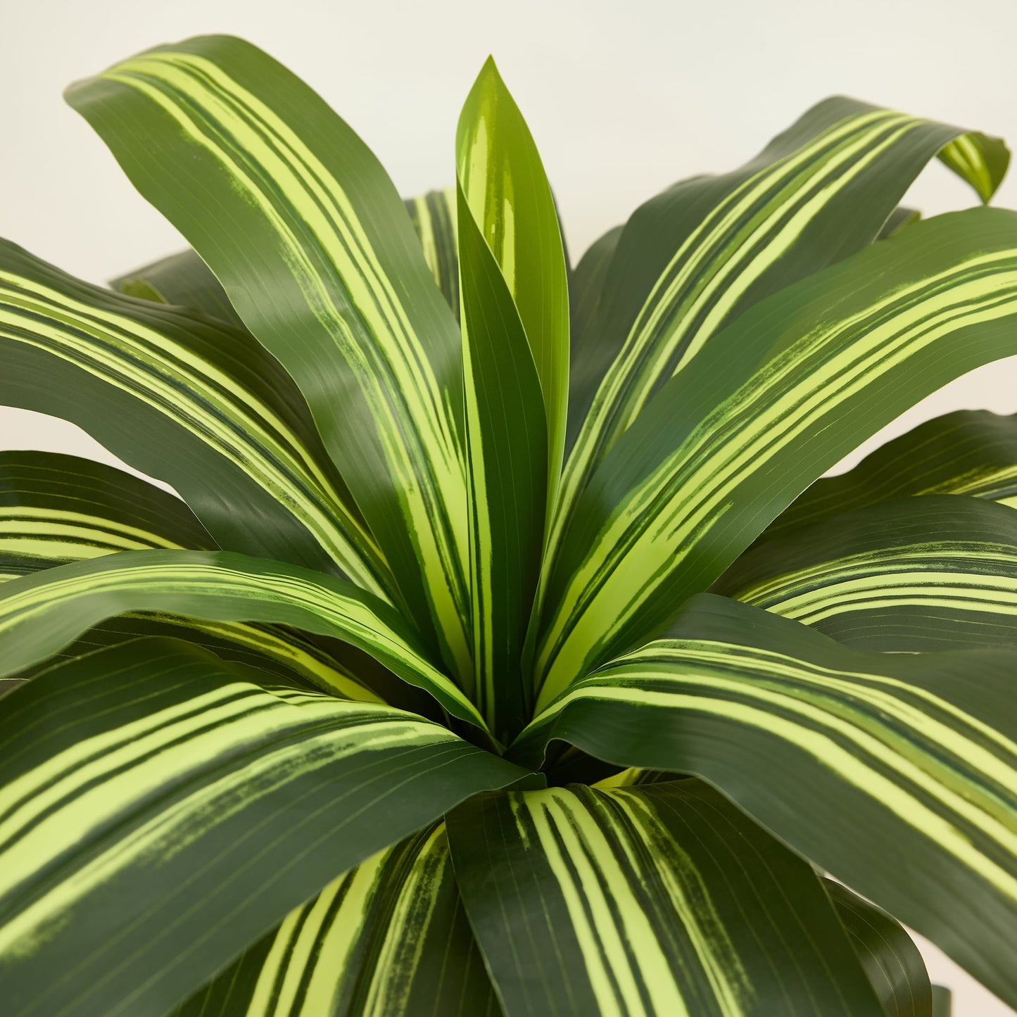 DR.Planzen 6FT Artificial Dracaena Tree with UV-Resistant Silk Leaves in Black Tall Planter - Indoor/Outdoor Faux Plant for Home Office House Decor, Tall Fake Tree for Living Room Lobby & Patio