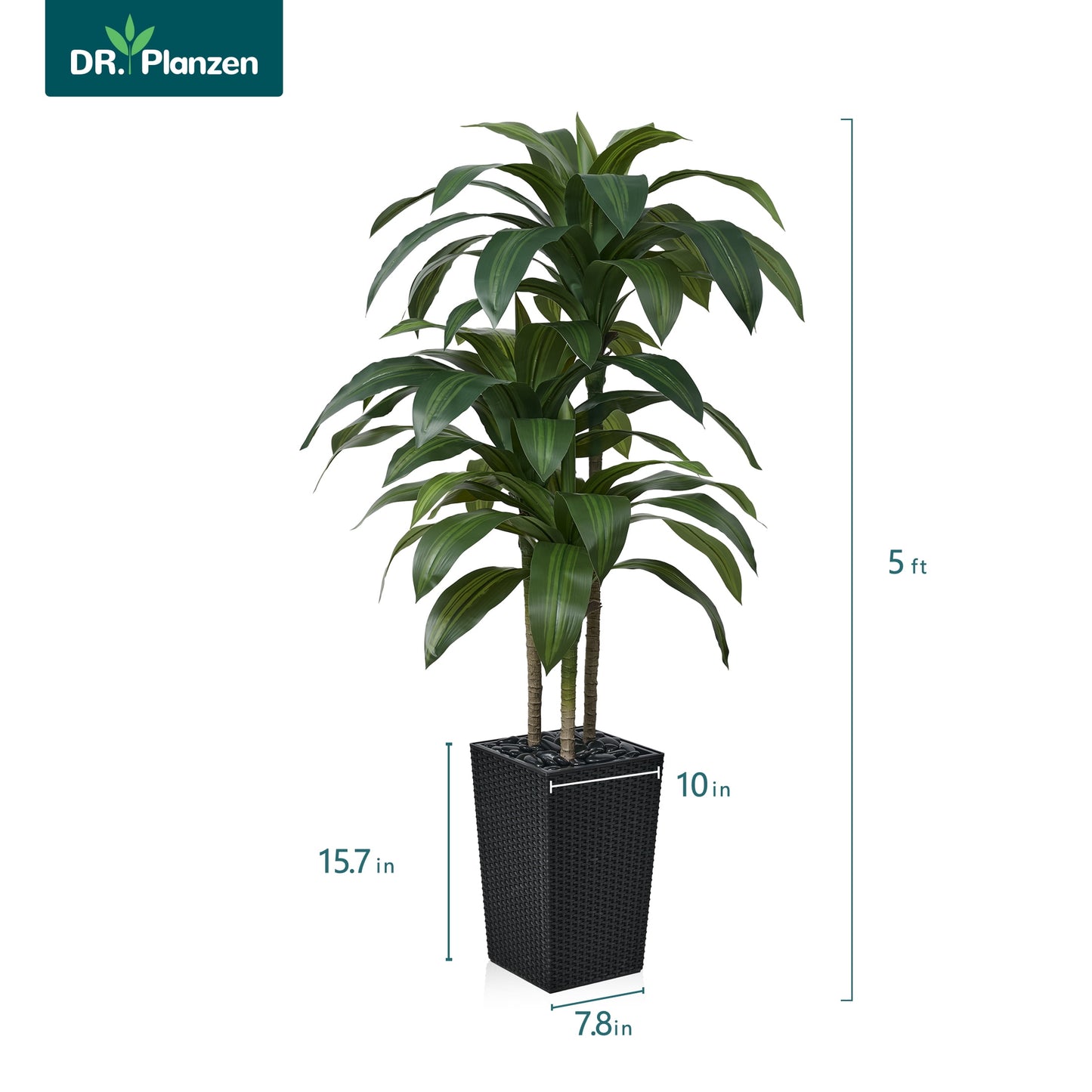 DR.Planzen Artificial Dracaena Tree 5ft - UV Protected Faux Dracaena Plant with 57 Green Leaves, Fake Tree for Indoor & Outdoor Use, Sturdy Tall White Planter with River Stones