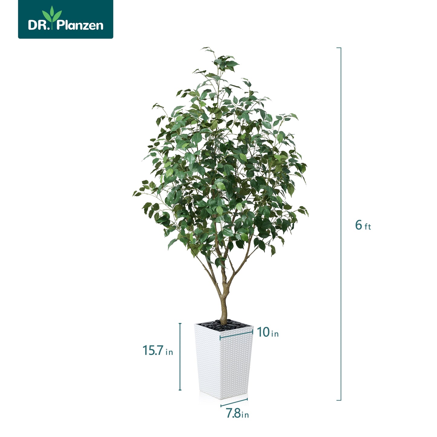 DR.Planzen Artificial Ficus Tree 6ft - UV Protected Faux Ficus Plant with Adjustable Branches and Realistic Green Leaves for Indoor & Outdoor Decor, White Large Planter with River Rocks