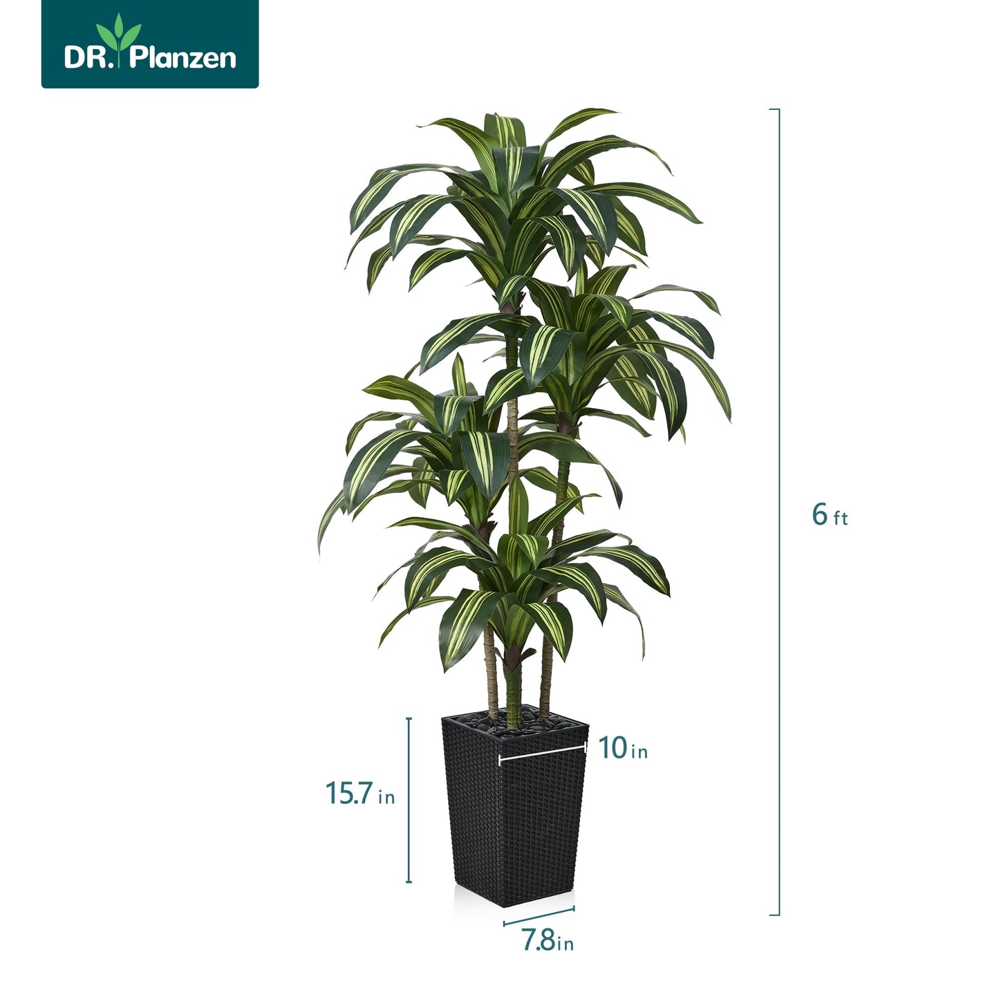 DR.Planzen 6FT Artificial Dracaena Tree with UV-Resistant Silk Leaves in Black Tall Planter - Indoor/Outdoor Faux Plant for Home Office House Decor, Tall Fake Tree for Living Room Lobby & Patio