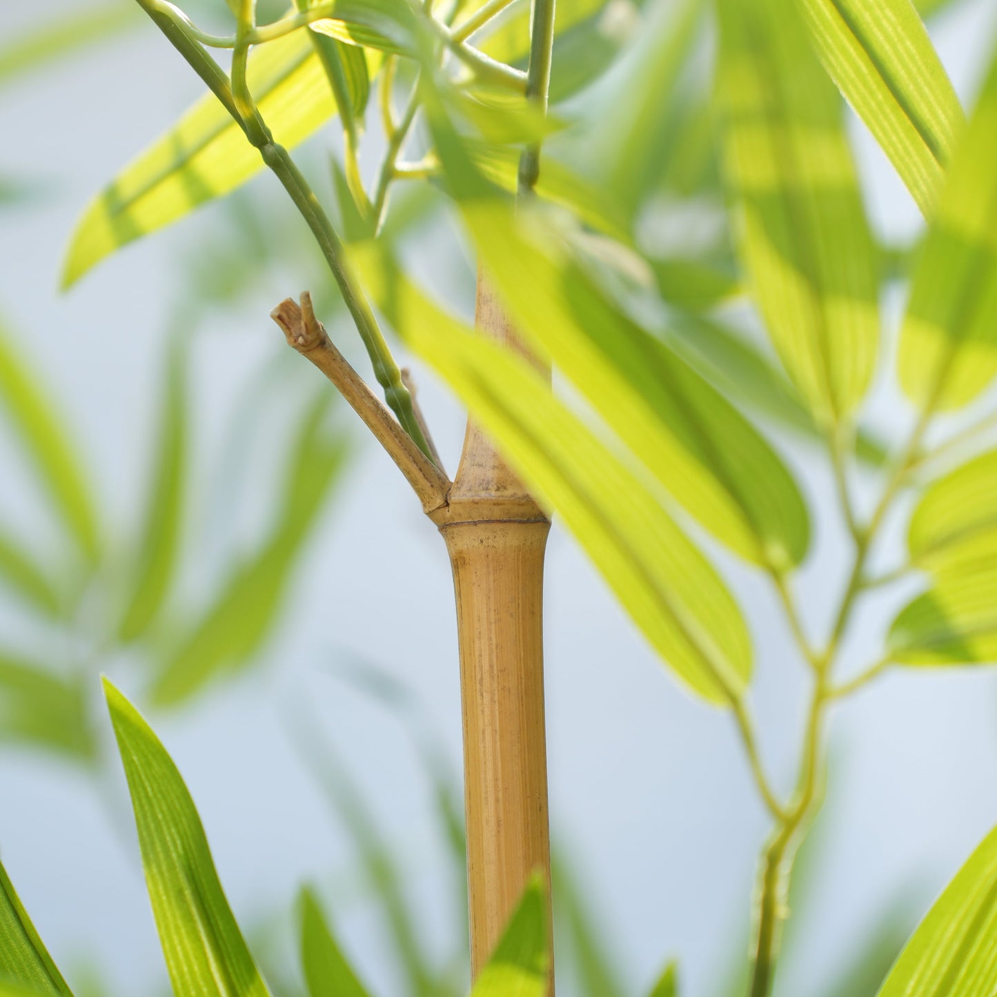 24 Pack 6FT Artificial Bamboo Privacy Screen - Faux Bamboo Plant Outdoor with Real Bamboo Poles, UV Resistant Dense Leaves Tall Fake Bamboo Fence Cover for Patio Backyard Balcony Wall Decor