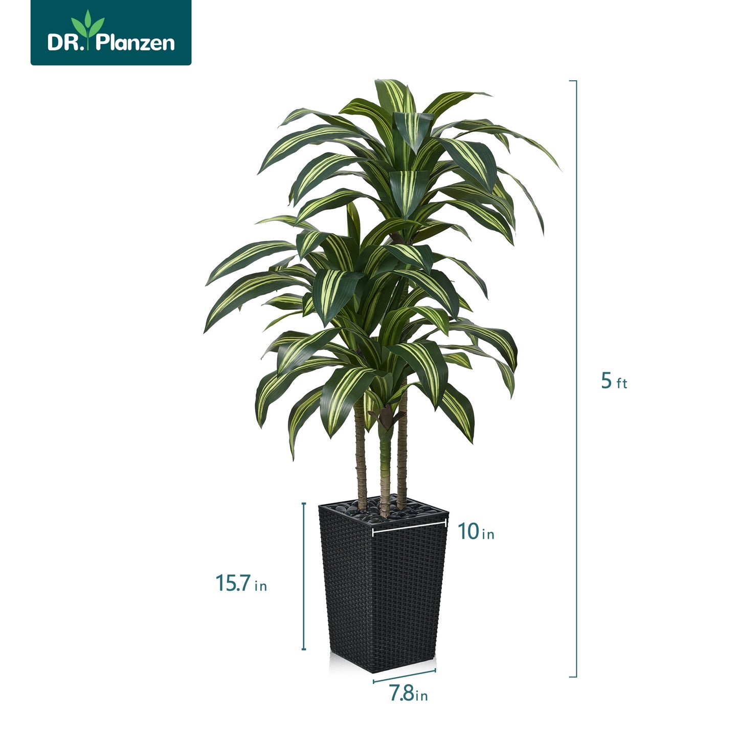 DR.Planzen 5FT Artificial Dracaena Tree with UV-Resistant Silk Leaves in Black Tall Planter - Indoor/Outdoor Faux Plant for Home Office House Decor, Tall Fake Tree for Living Room Lobby & Patio