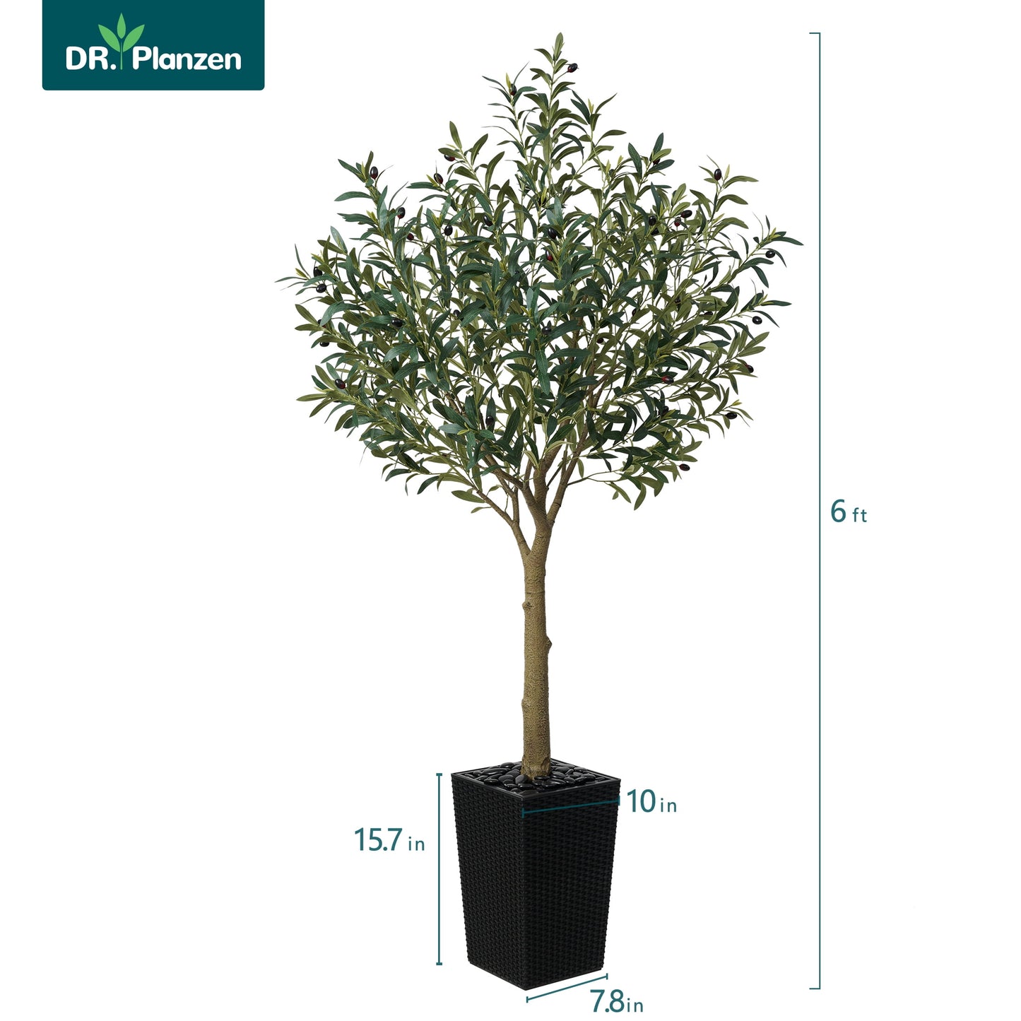 DR.Planzen UV Resistant 6ft Artificial Olive Tree in Black Large Planter with Pebbles¨C Faux Olive Tree for Indoor and Outdoor Decor, Lifelike Greenery for Home & Garden Decor