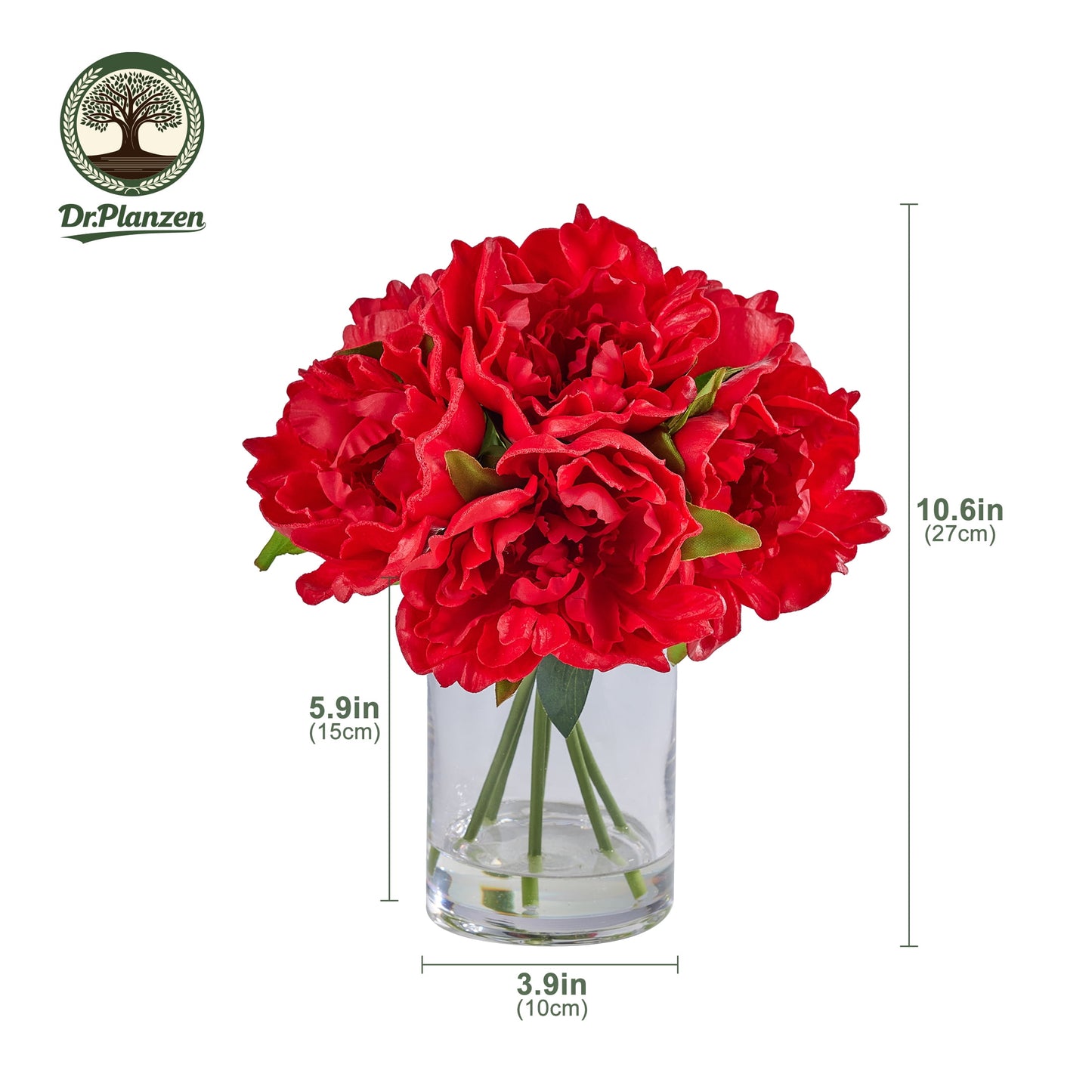 DR.Planzen Artificial Red Peony Bouquet in Cylinder Vase with Faux Water, 6 Stems with 6 Realistic White Peony Blooms, 10.6" Tall Ready-to-Use Home Office Centerpiece Decor
