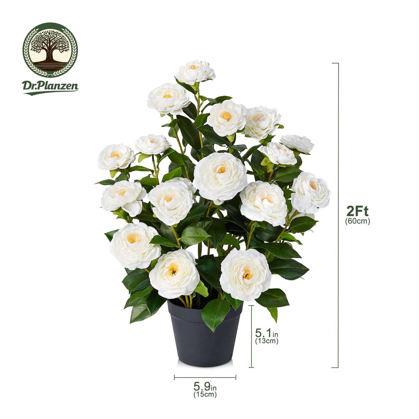 DR.Planzen 2 Pack 2 ft Artificial Camellia Tree, Faux Camellia Plant in Pot, 24in Full White Blooms, 28 flowers & 175 leaves - indoor decor for Entryway Front Door Covered Porch Living Room Wedding