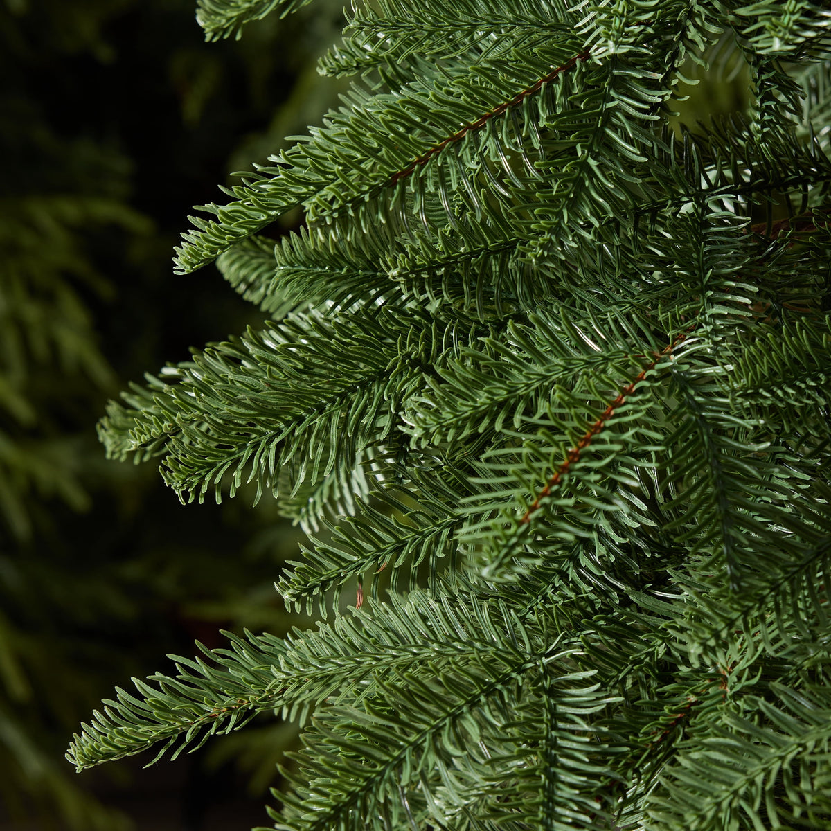 DR.Planzen 6FT Artificial Pine Christmas Tree, Real Wood Trunk, Flat-Needle Foliage, Square Metal Base