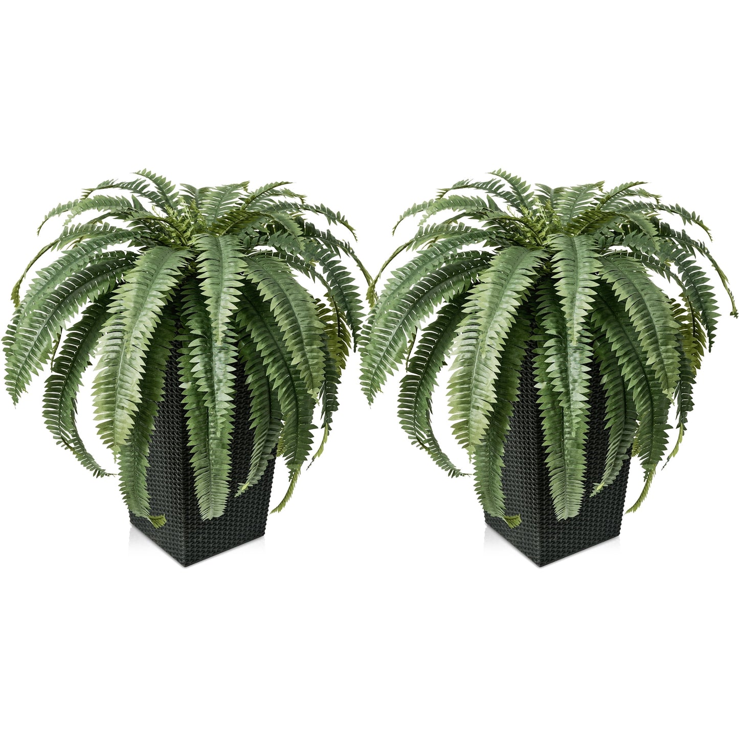 DR.Planzen 2 Pack Artificial Boston Fern Bush Plant with Black Tapered Planter - UV Resistant Faux Ferns with 39 Leaves
