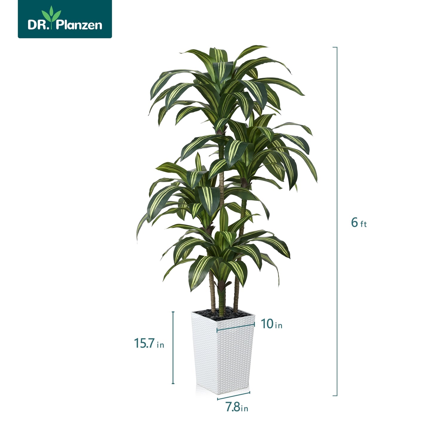 DR.Planzen 6FT Artificial Dracaena Tree with UV-Resistant Silk Leaves in White Tall Planter - Indoor/Outdoor Faux Plant for Home Office House Decor, Tall Fake Tree for Living Room Lobby & Patio