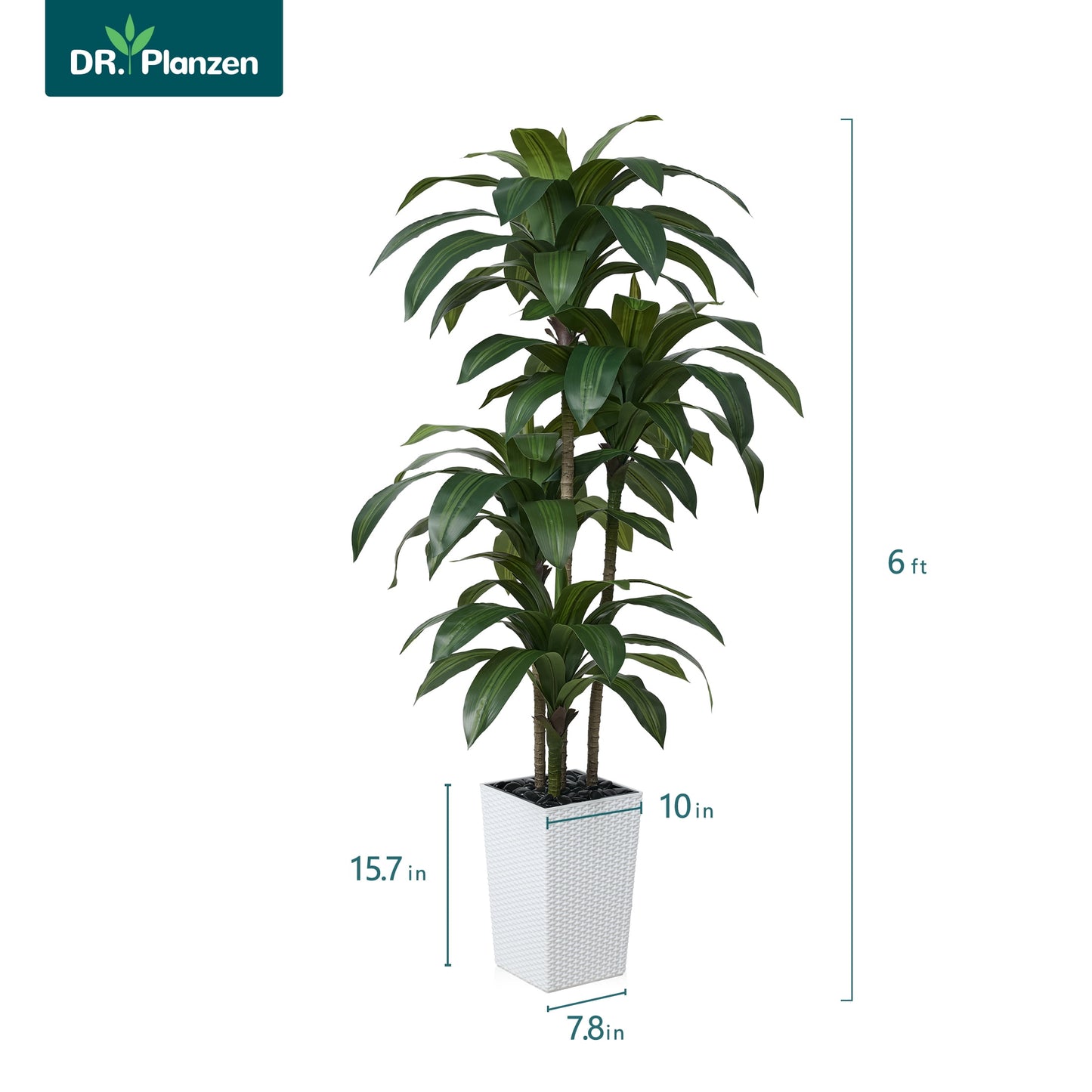 DR.Planzen Artificial Dracaena Tree 6ft - UV Protected Faux Dracaena Plant with 76 Green Leaves, Fake Tree for Indoor & Outdoor Use, Sturdy Tall Brown Planter with River Stones