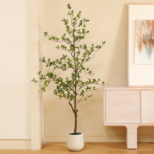 6ft Artificial Black Olive Tree with 9 inch White Planter, Tall Fake Shady Lady Tree for Indoor Home Decor, Big Faux Plant Faux Olive Silk Tree for Home Decor and Gift