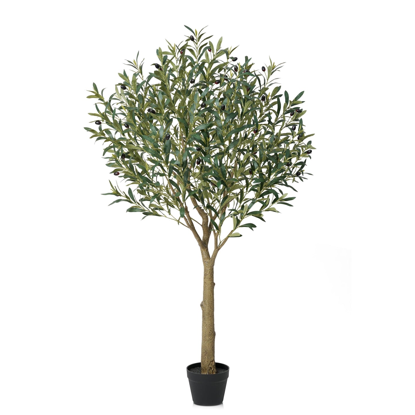 DR.Planzen 5ft Dense Artificial Olive Tree - Faux Olive Plant for Indoor & Outdoor Decor - Adjustable Branches - UV Resistant Realistic Olive Tree with Black Plastic Pot