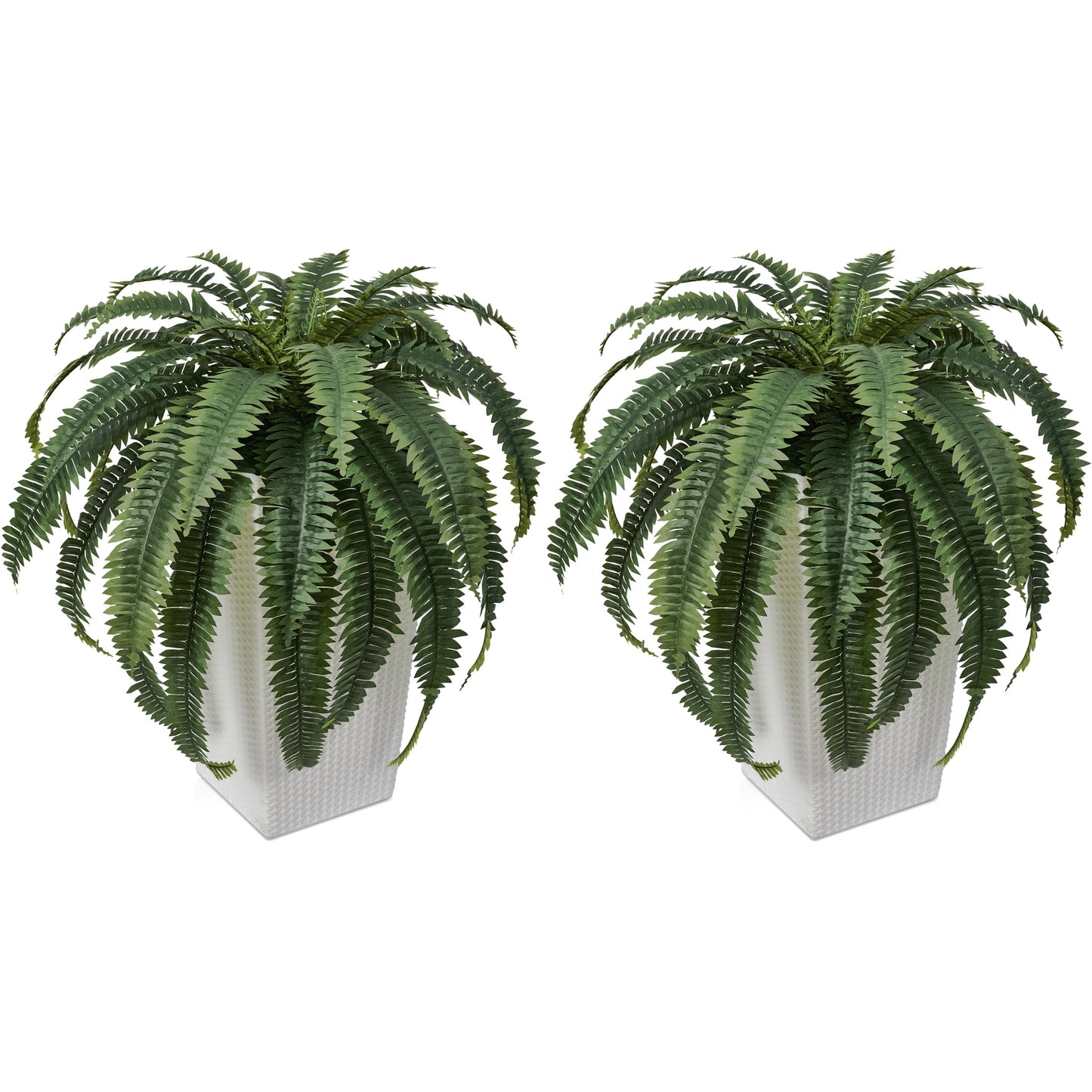 DR.Planzen 2 Pack Artificial Boston Fern Bush Plant with White Tapered Planter - UV Resistant Faux Ferns with 39 Leaves