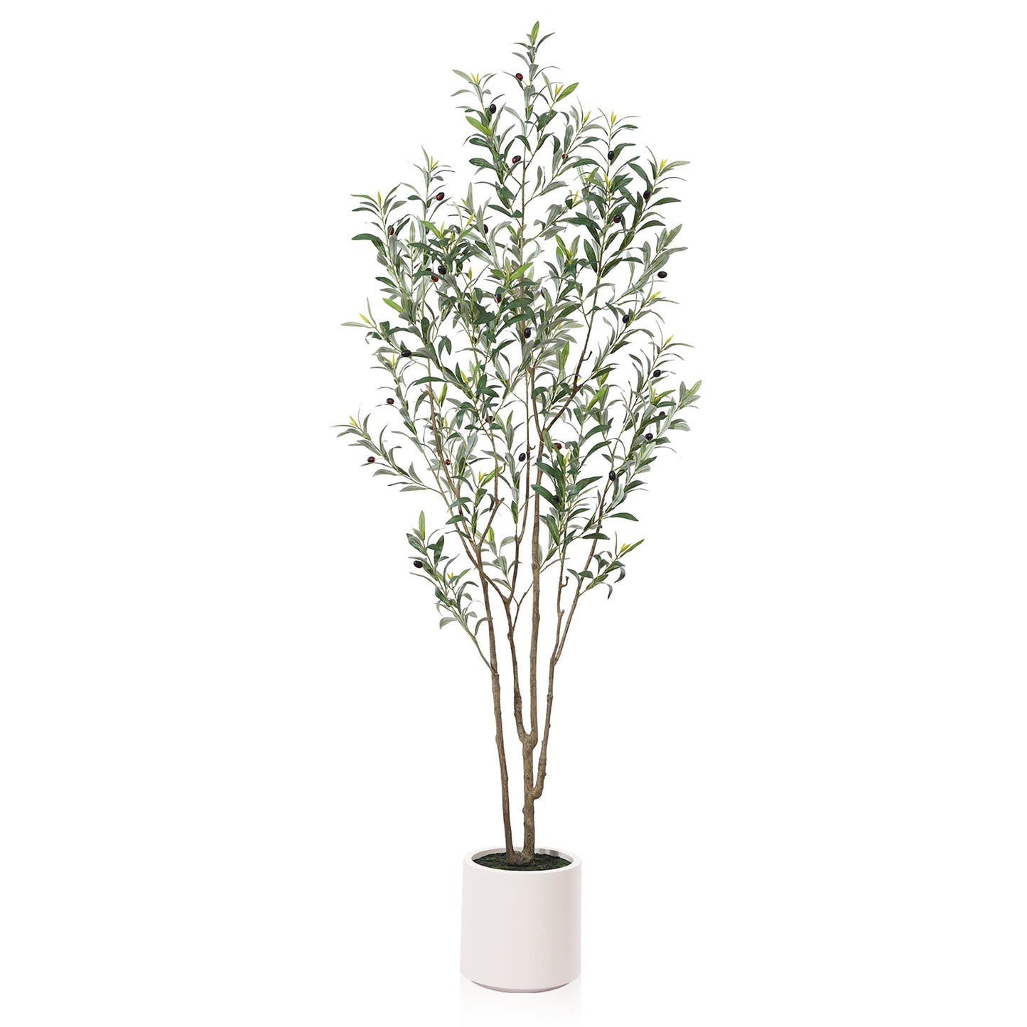 7 ft Tall Large Artificial Olive Tree with 10.6 inches White Planter ,Fake Olive Trees for Indoor Use,Faux Olive Silk Tree,Olive Plantsfor Home Decor and Housewarming Gift